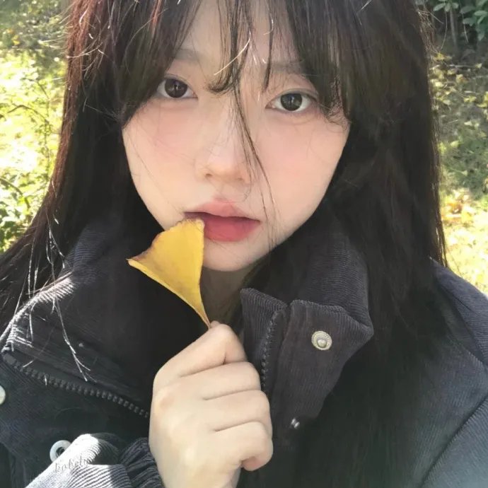 东北风云